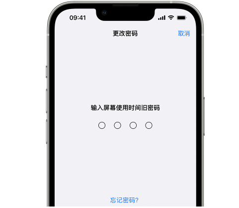 海宁iPhone屏幕维修分享iPhone屏幕使用时间密码忘记了怎么办 