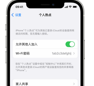 海宁apple服务站点分享iPhone上个人热点丢失了怎么办 