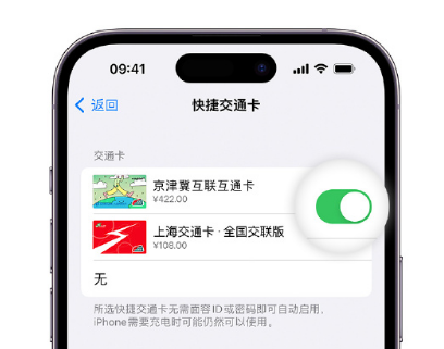 海宁apple维修点分享iPhone上更换Apple Pay快捷交通卡手绘卡面 