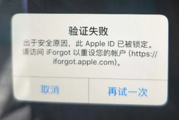 海宁iPhone维修分享iPhone上正常登录或使用AppleID怎么办 