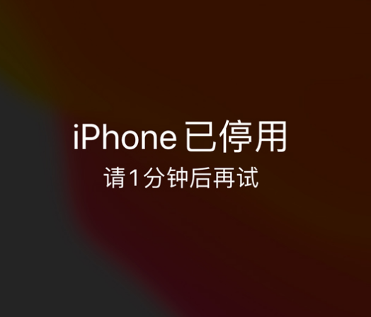 海宁苹果手机维修分享:iPhone 显示“不可用”或“已停用”怎么办？还能保留数据吗？ 