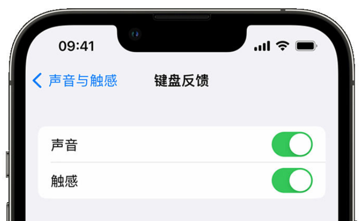 海宁苹果手机维修分享iPhone 14触感键盘使用方法 