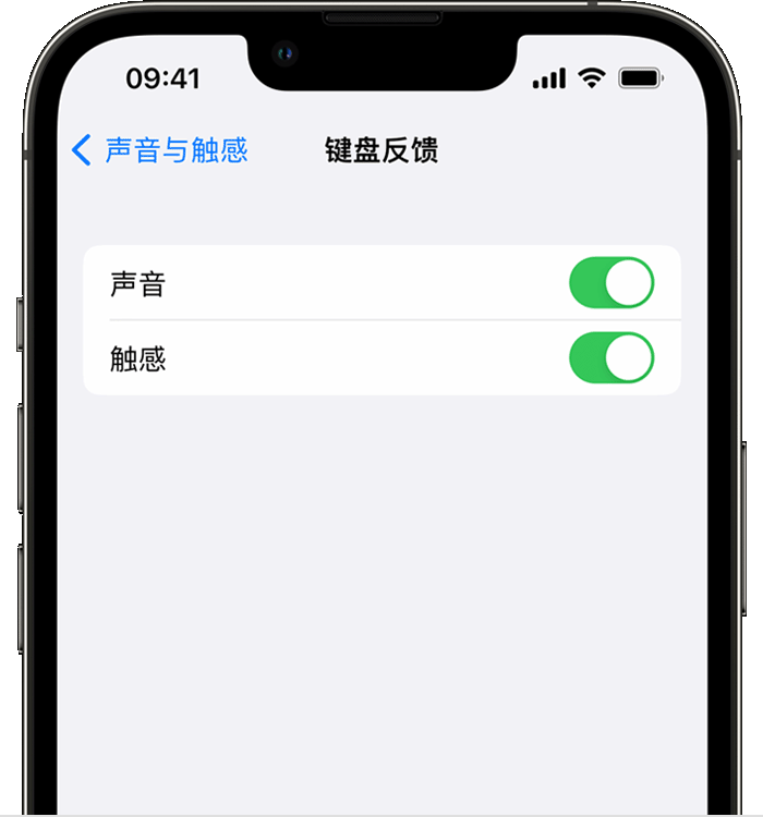 海宁苹果14维修店分享如何在 iPhone 14 机型中使用触感键盘 