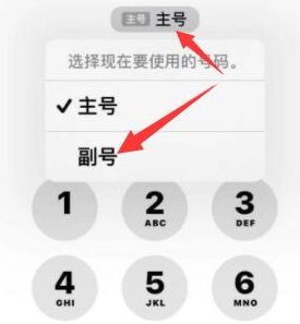 海宁苹果14维修店分享iPhone 14 Pro Max使用副卡打电话的方法 