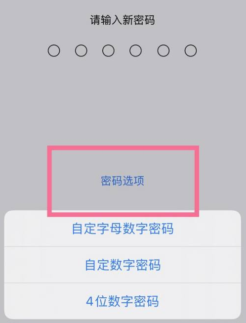 海宁苹果14维修分享iPhone 14plus设置密码的方法 