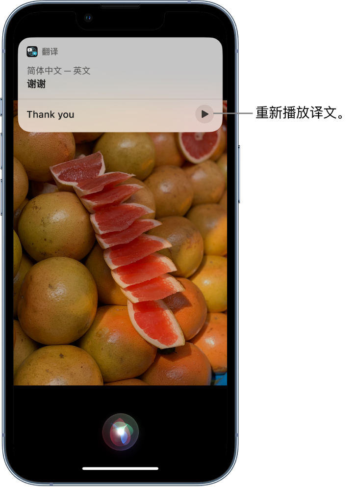 海宁苹果14维修分享 iPhone 14 机型中使用 Siri：了解 Siri 能帮你做什么 