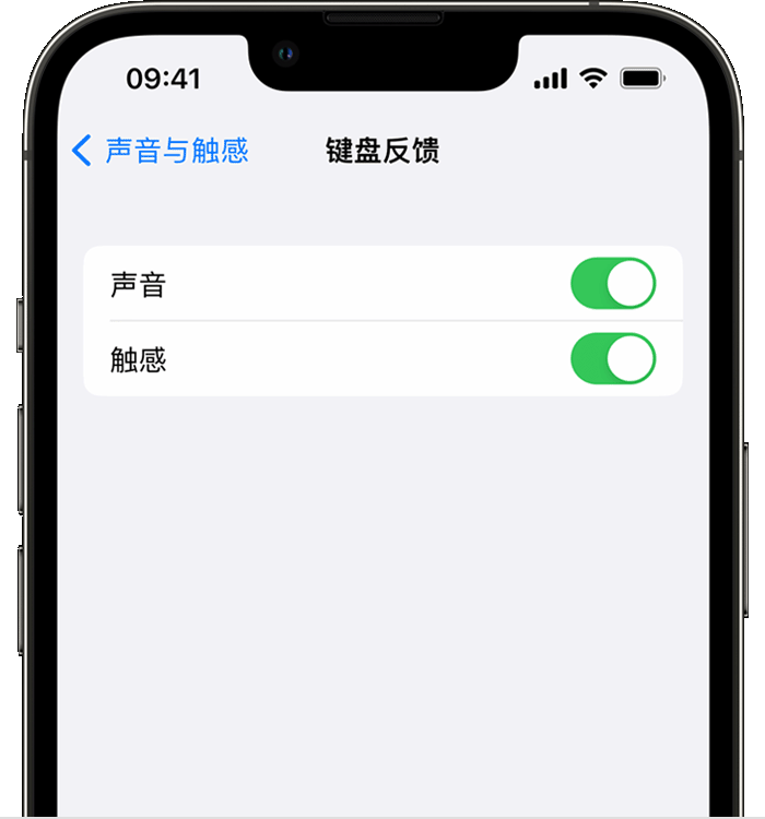 海宁苹果14维修分享iPhone 14 系列机型如何开启键盘声音或触感反馈 