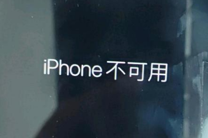 海宁苹果服务网点分享锁屏界面显示“iPhone 不可用”如何解决 