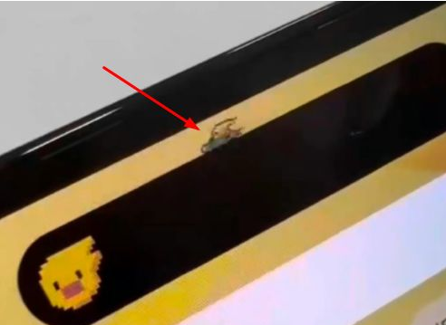 海宁苹果14维修分享iPhone 14 Pro Max灵动岛怎么养宠物 