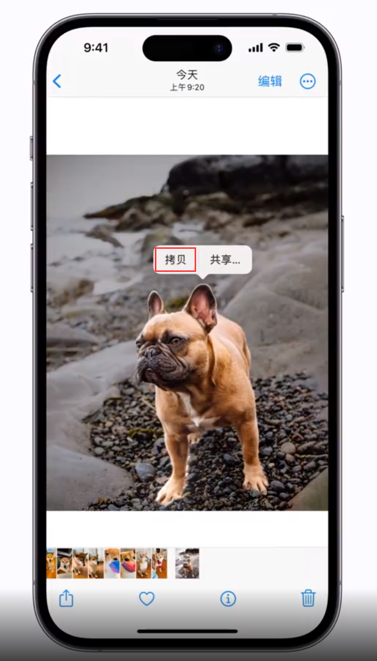 海宁苹果手机维修分享 iOS 16 自带一键抠图功能 