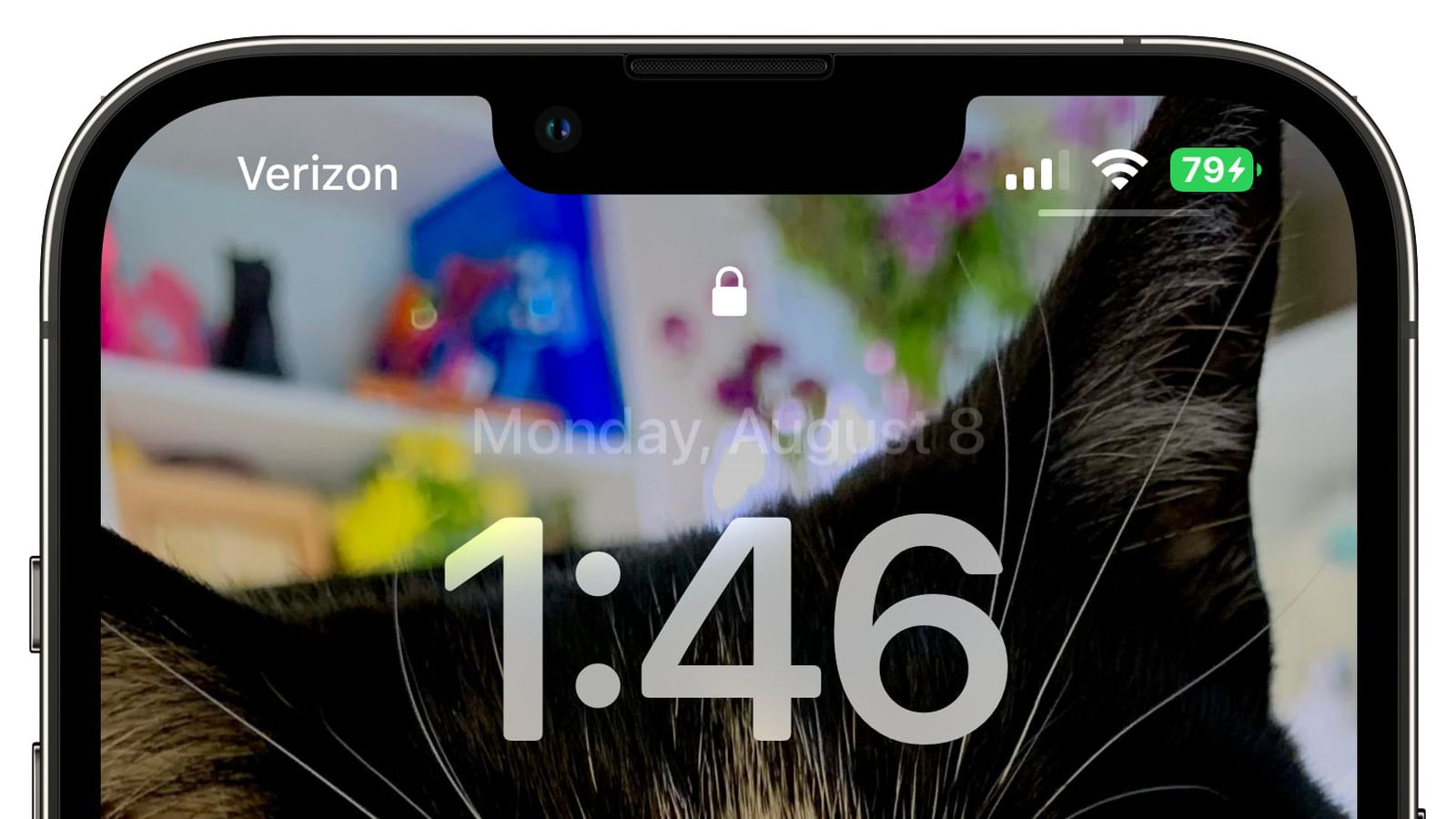 海宁苹果手机维修分享iOS 16 beta 5 支持状态栏显示电池百分比，如何开启？支持哪些机型 