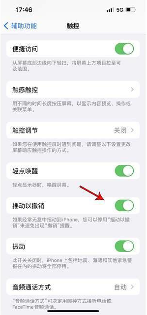 海宁苹果手机维修分享iPhone手机如何设置摇一摇删除文字 