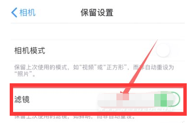 海宁苹果13维修分享iPhone13拍照有绿点是怎么回事 