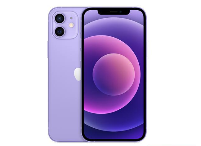 海宁苹果手机维修分享现阶段要不要入手紫色版iPhone12 