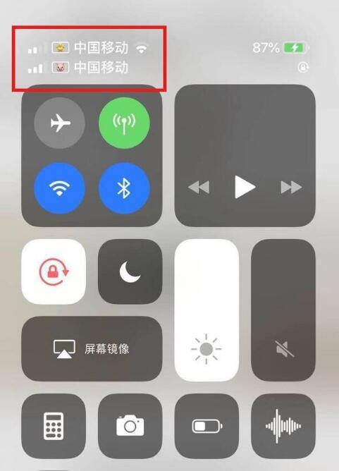 海宁苹果手机维修分享为 iPhone 12 双卡设置标签 
